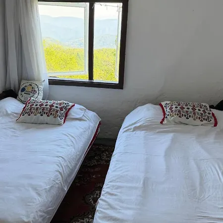 112 Year Old Heritage Home-mountain Views- Gorazde Chalé *