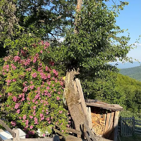 Chalé 112 Year Old Heritage Home-mountain Views- Gorazde