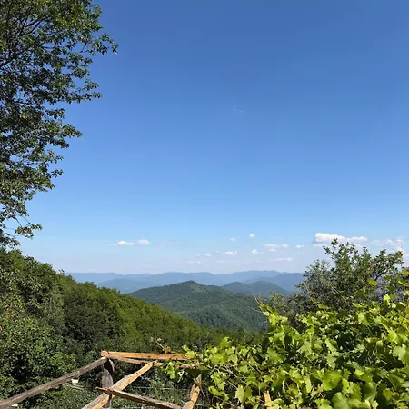 112 Year Old Heritage Home-mountain Views- Gorazde *
