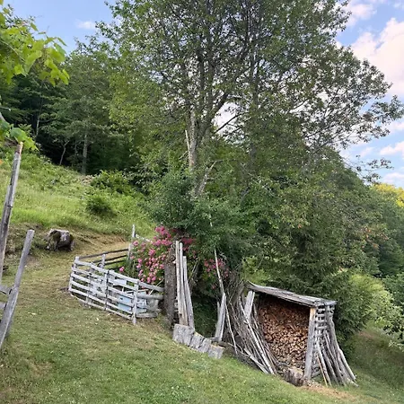 112 Year Old Heritage Home-mountain Views- Gorazde *