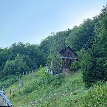 112 Year Old Heritage Home-mountain Views- Gorazde