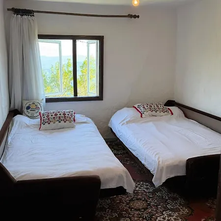 Chalé 112 Year Old Heritage Home-mountain Views- Gorazde *