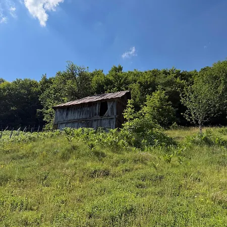 Chalé 112 Year Old Heritage Home-mountain Views- Gorazde Seliste