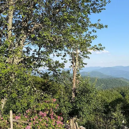 112 Year Old Heritage Home-mountain Views- Gorazde Chalé