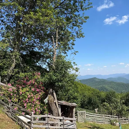 112 Year Old Heritage Home-mountain Views- Gorazde Chalé *